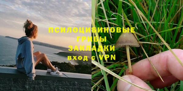 твердый Дрезна