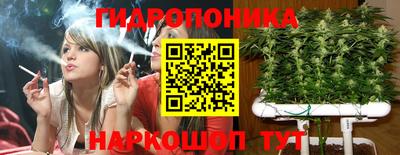 гашик Волжский