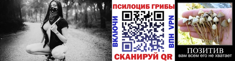 ОМГ ОМГ tor Семилуки Псилоцибиновые грибы ЛСД