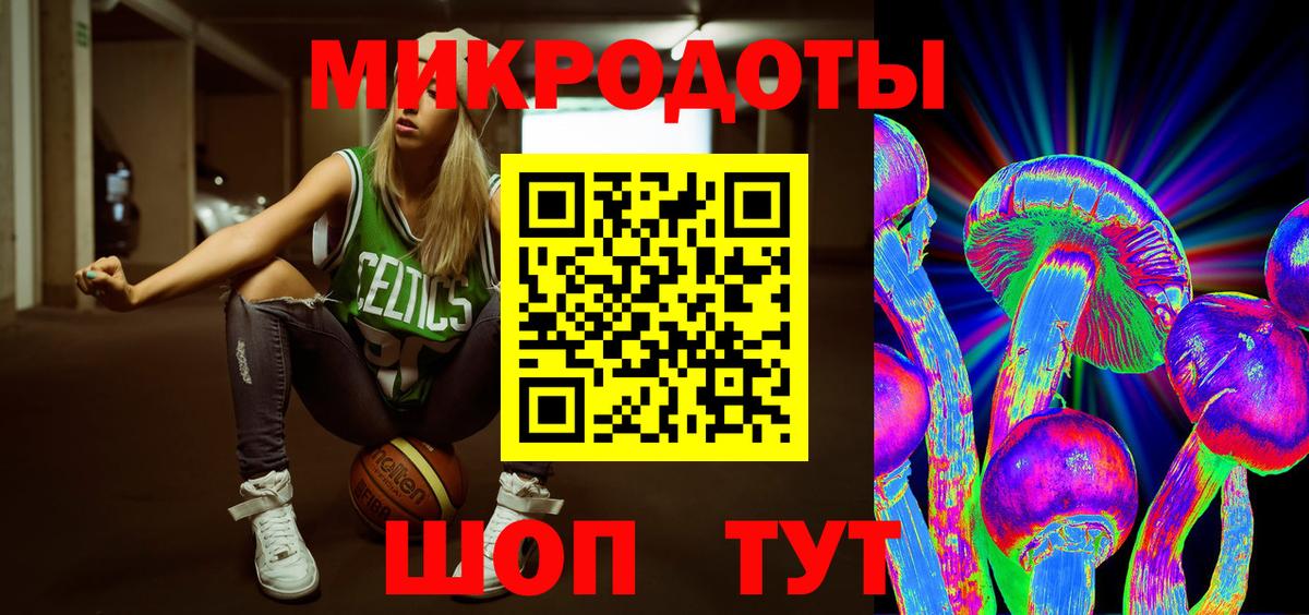 Галлюциногенные грибы Psilocybe  Семилуки  Псилоцибиновые грибы Magic Shrooms 