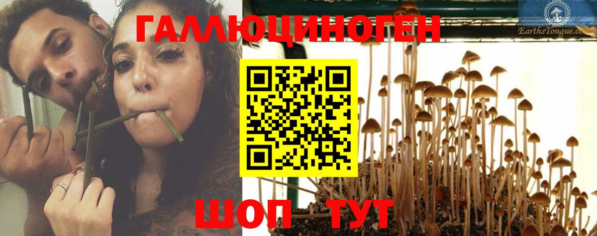 Псилоцибиновые грибы MAGIC MUSHROOMS Семилуки