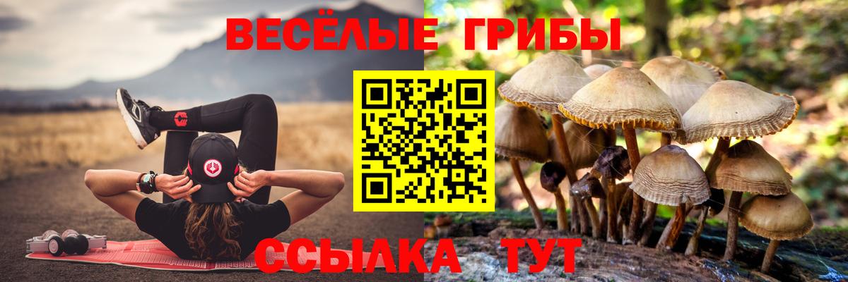 Галлюциногенные грибы GOLDEN TEACHER  Вход с VPN  Семилуки  Галлюциногенные грибы ЛСД 